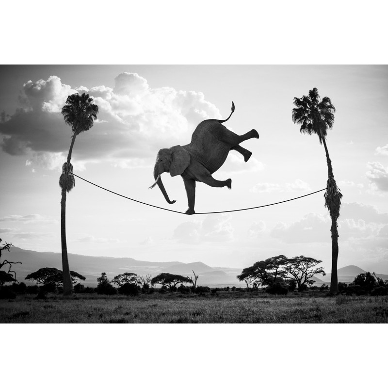 "Hakuna Matata 03 "
