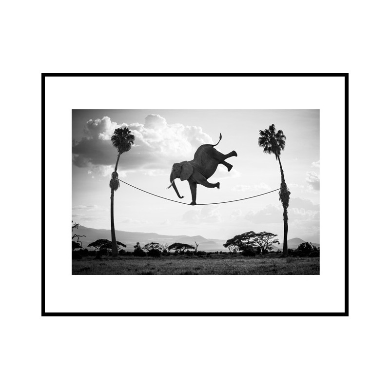"Hakuna Matata 03 "