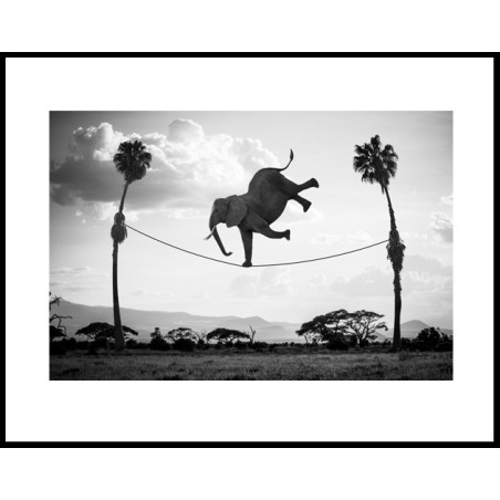 "Hakuna Matata 03 "