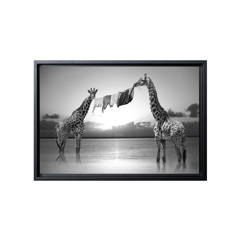 "Hakuna Matata 05 "