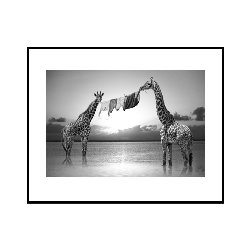 "Hakuna Matata 05 "