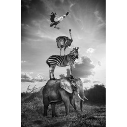 "Hakuna Matata 08"