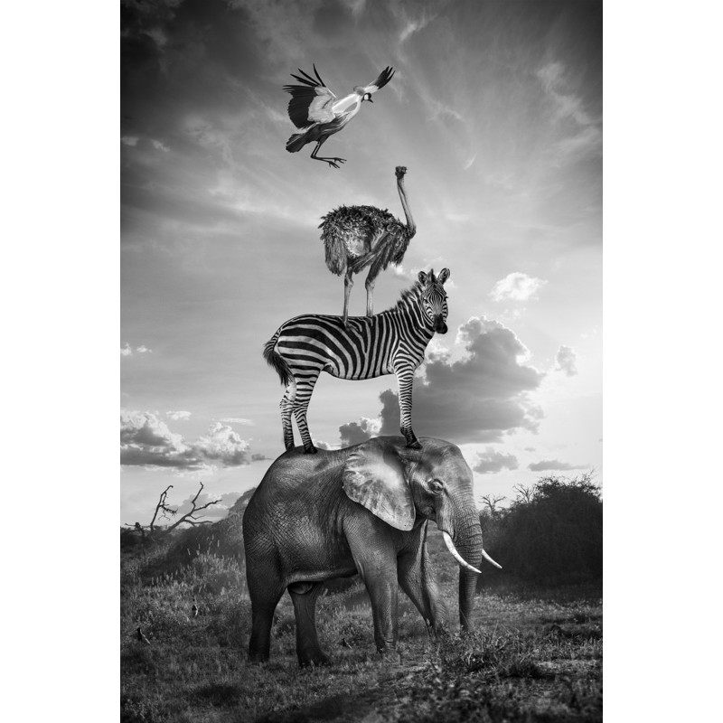 "Hakuna Matata 08"