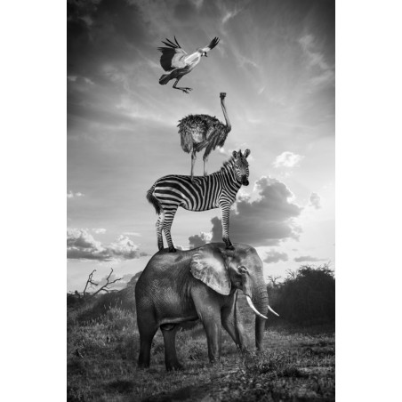 "Hakuna Matata 08"