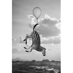 "Hakuna Matata 09"
