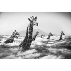 "Hakuna Matata 10"