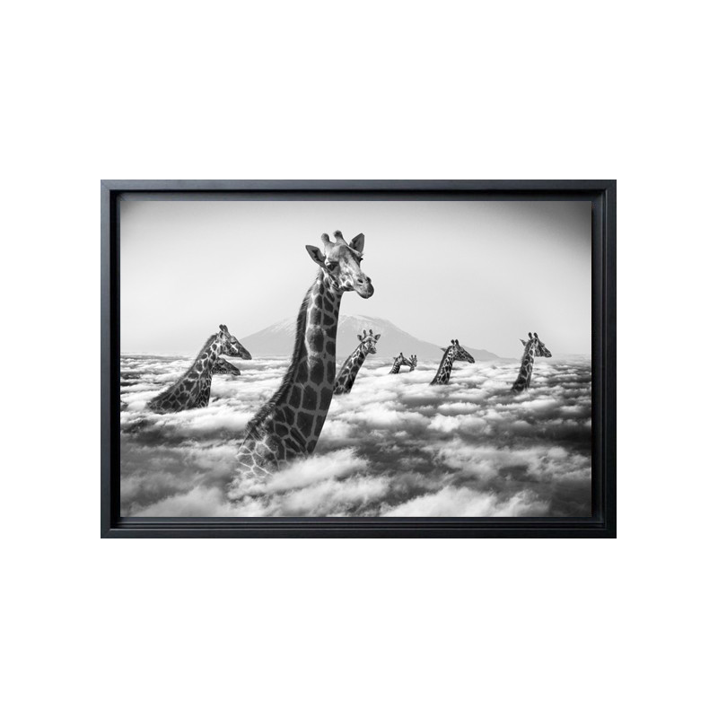 "Hakuna Matata 10"