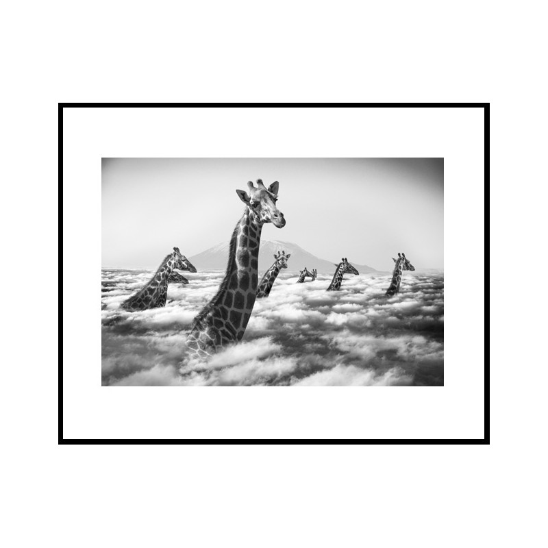 "Hakuna Matata 10"