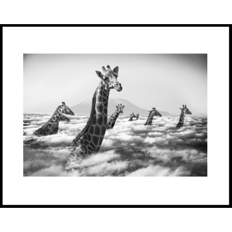 "Hakuna Matata 10"