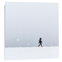 "Snow storm black" 2