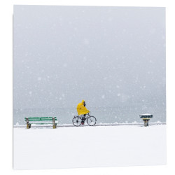 "Snow storm yellow" 2