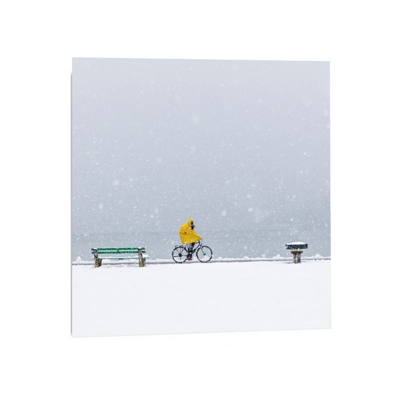 "Snow storm yellow"