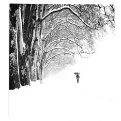 "les-griffes-de-l-hiver" 2