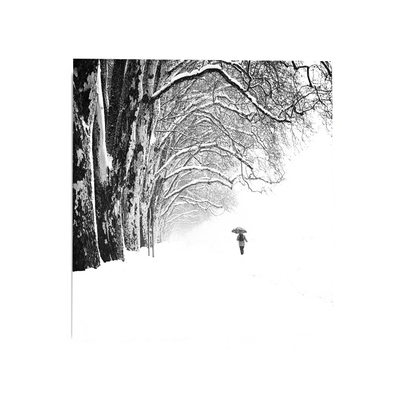 "les-griffes-de-l-hiver"