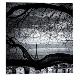 "Fenetre sur la tour" 2