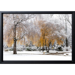 "flocons-d-automne" 2