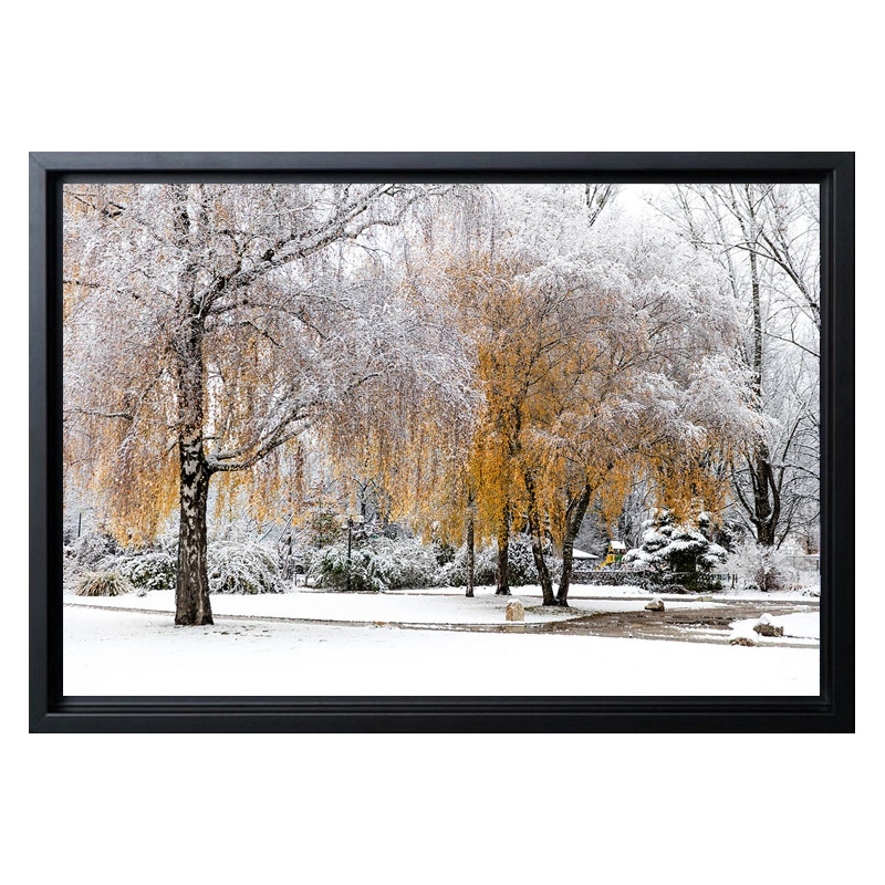 "flocons-d-automne"