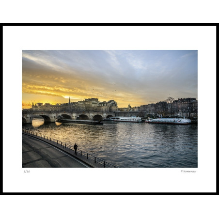 "Le solitaire du Pont Neuf"