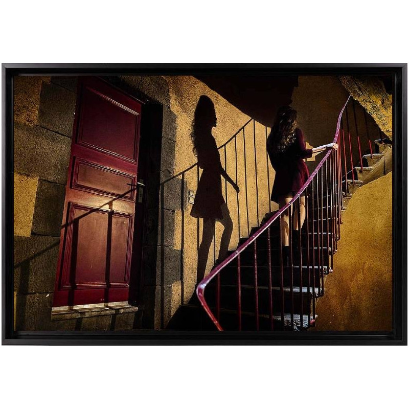 la-montee-de-l-escalier