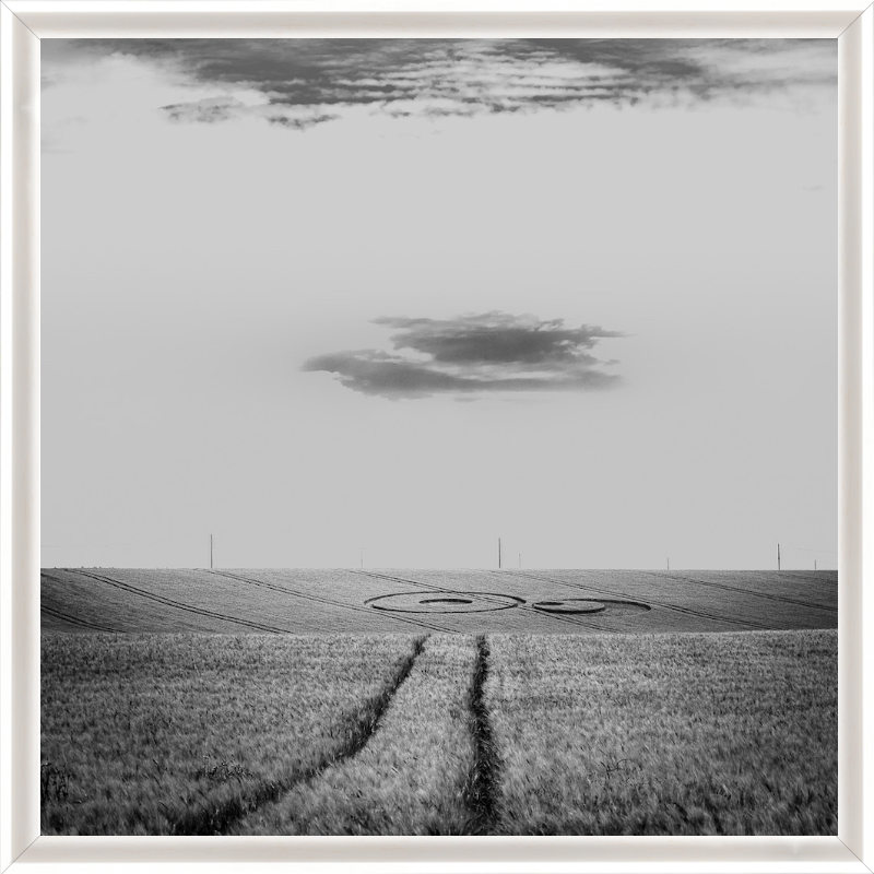 "Crop Circle"
