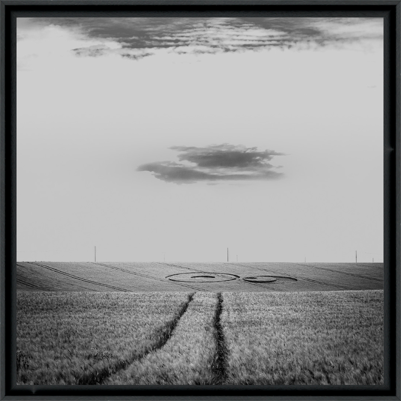 "Crop Circle"