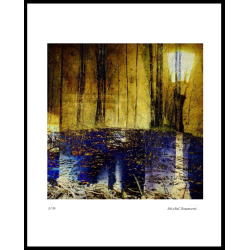 Le sous bois 2