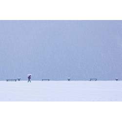 Eric Monvoisin-Vol hivernal