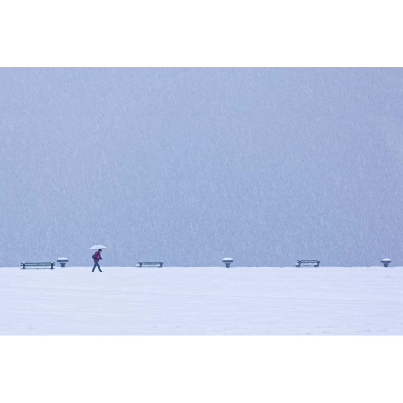 Eric Monvoisin-Vol hivernal