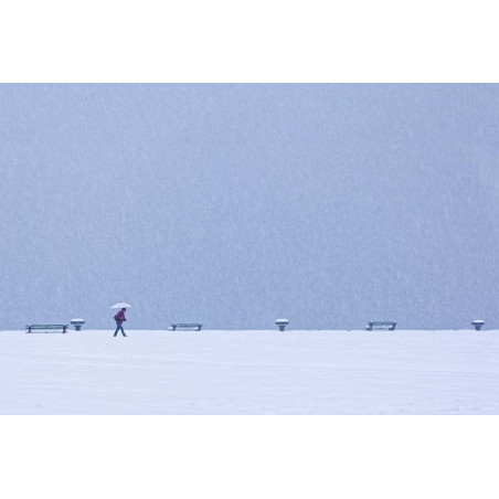 Eric Monvoisin-Vol hivernal