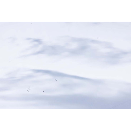 "Illusion"