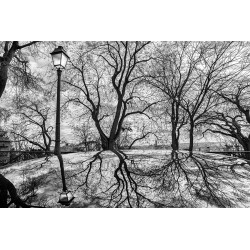 "Le reflet du lampadaire"