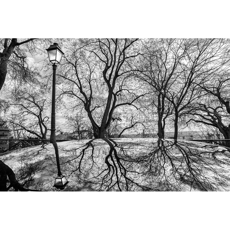 "Le reflet du lampadaire"