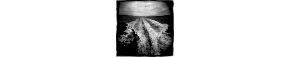 Michel Staumont