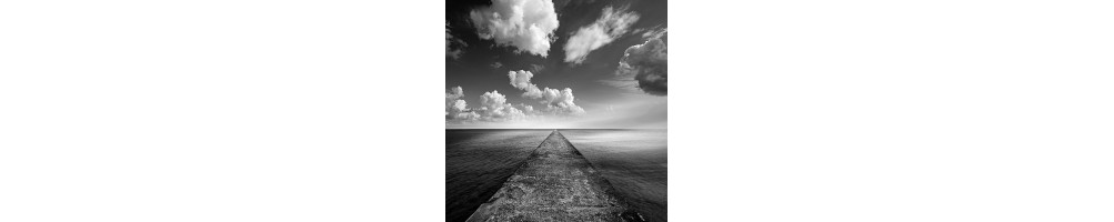 Eric Frey